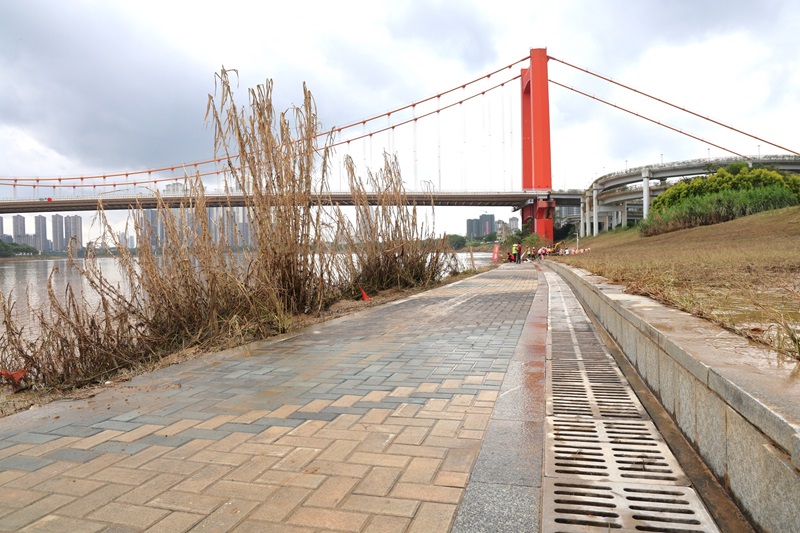 首页- 必发集团有限公司官方网站